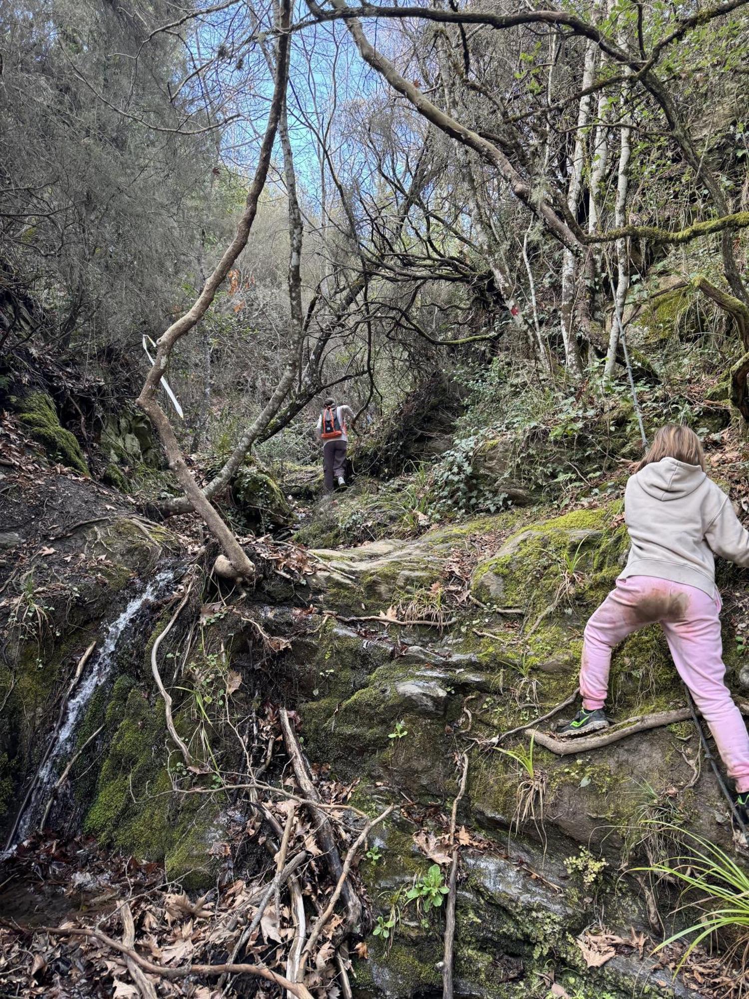 Foresta In Medias Mores Tripoli Zewnętrze zdjęcie