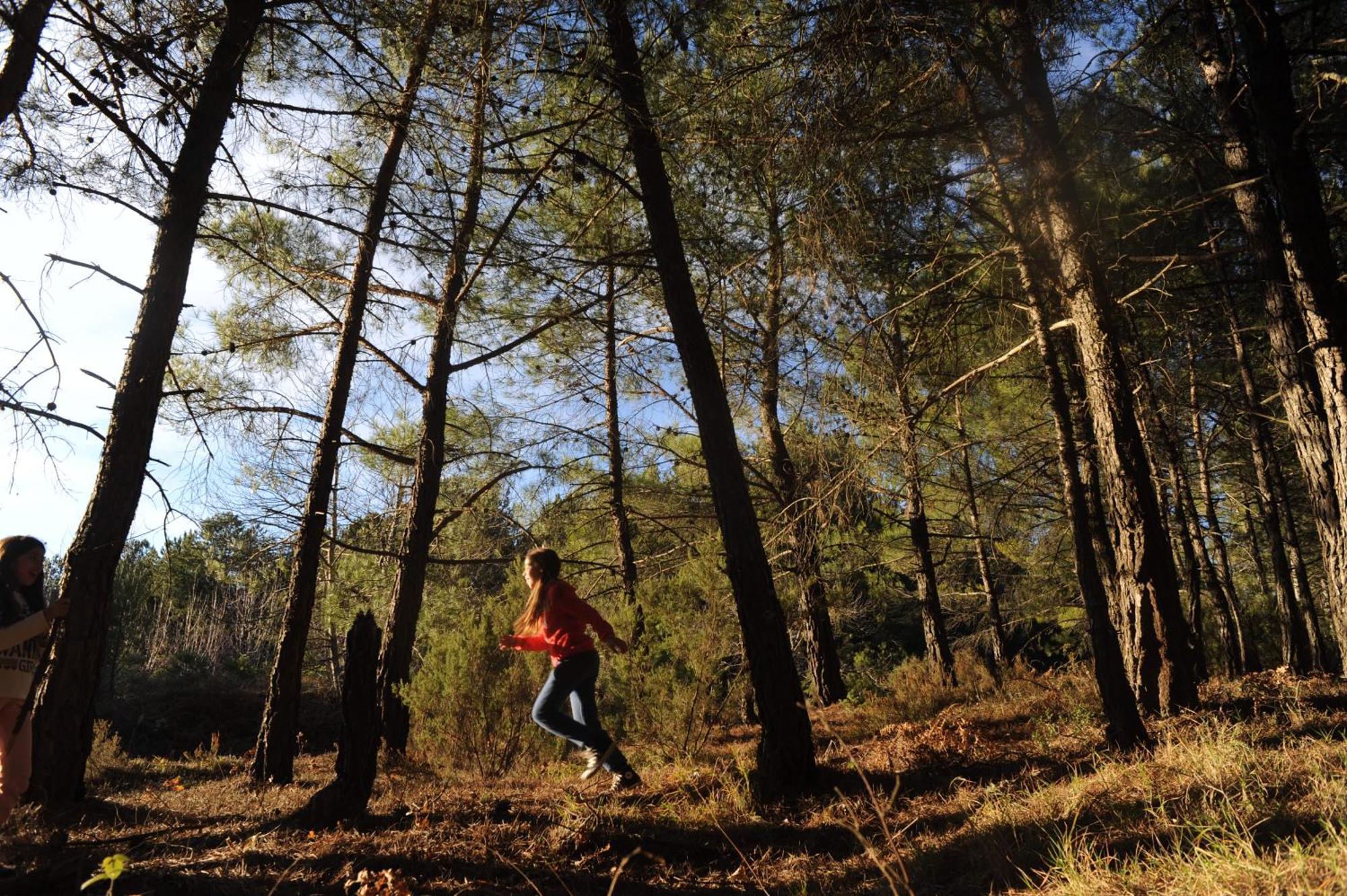 Foresta In Medias Mores Tripoli Zewnętrze zdjęcie