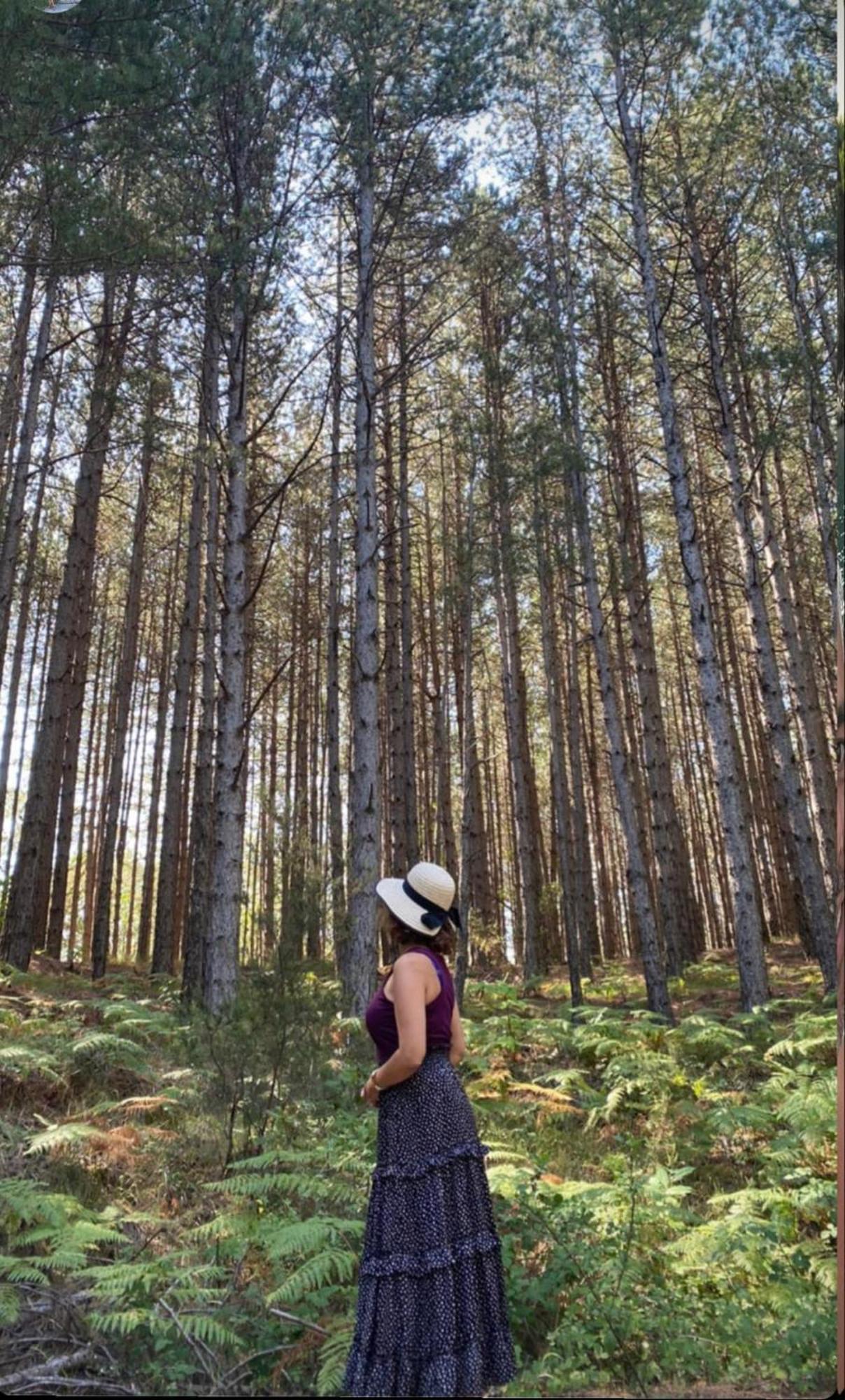 Foresta In Medias Mores Tripoli Zewnętrze zdjęcie